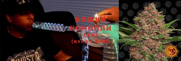 молекула духа Балахна