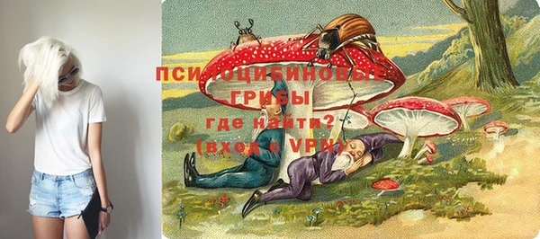 молекула духа Балахна