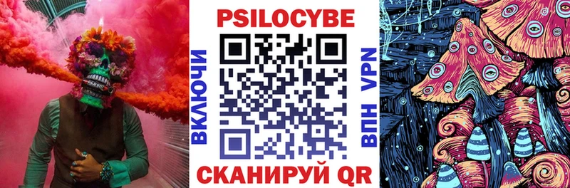 OMG ссылки  где продают   Боготол  Галлюциногенные грибы прущие грибы 